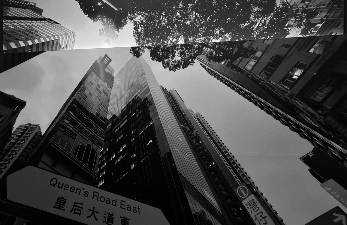 WhatsApp Image 2023-12-21 at 12.41.26